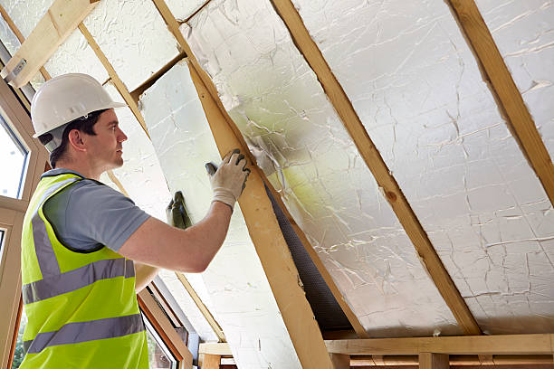 Best Energy Efficiency Solutions in Lochmoor Waterway Estates, FL